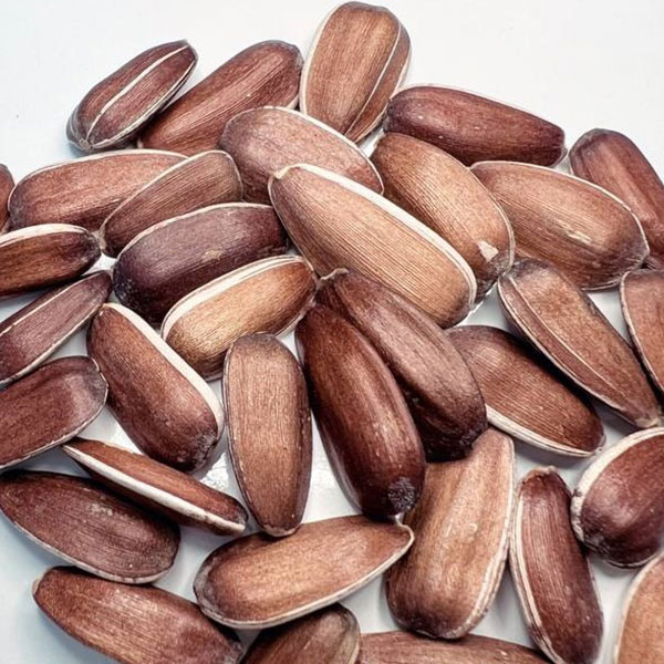 تخمه قرمز خام - 1 کیلوگرم