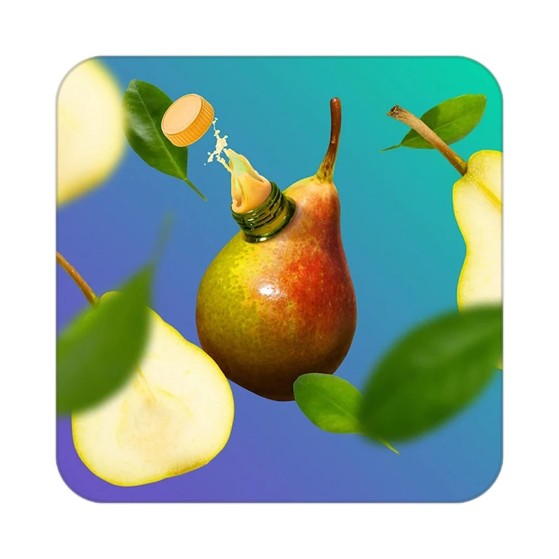 زیر لیوانی کاکتی طرح میوه مدل mp21632