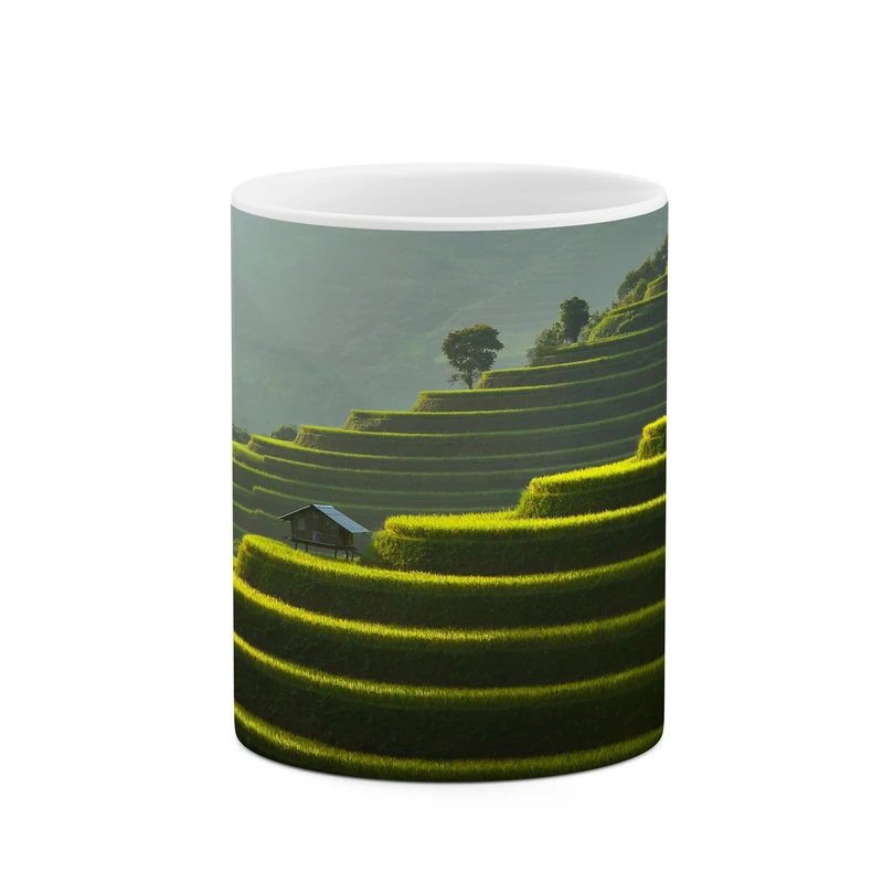 ماگ کاکتی مدل فانتزی کد mgh17256