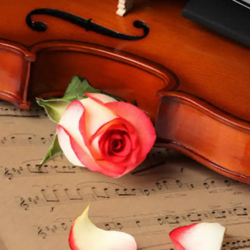 دفتر نت موسیقی مستر راد مدل آوا کد 1603 Music