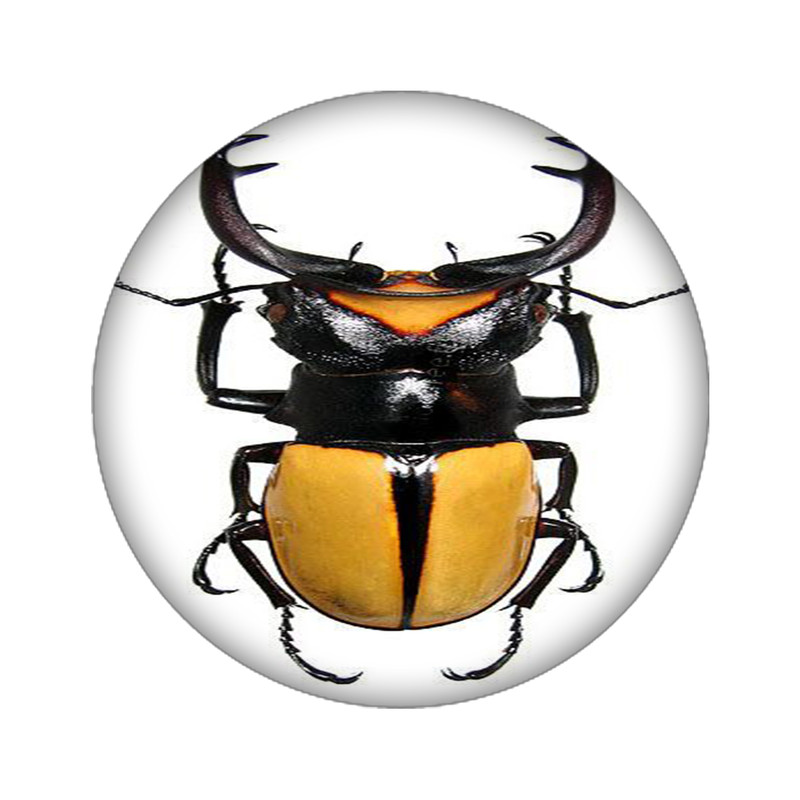 استیکر تزئینی موبایل مدل حشره کد 3966