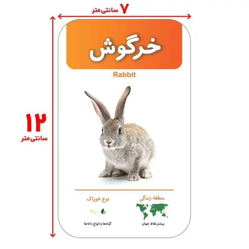 فلش کارت های آشنایی با حیوانات پستانداران انتشارات اندیشه کهن