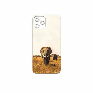 MAHOOT Elephant Cover Sticker for Apple iPhone 12 Pro