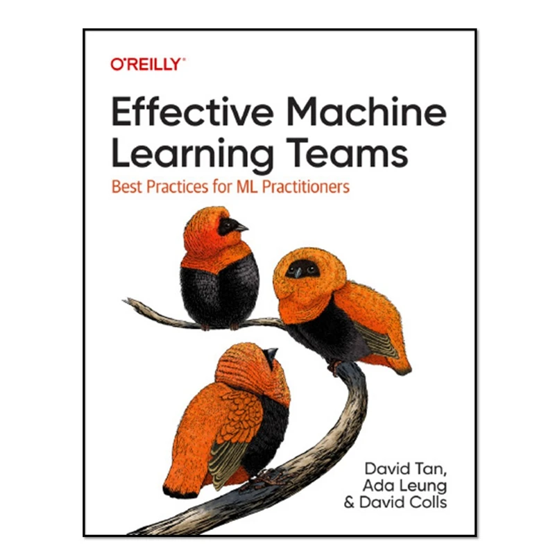 کتاب Effective Machine Learning Teams اثر David Tan انتشارات آوای مؤلف