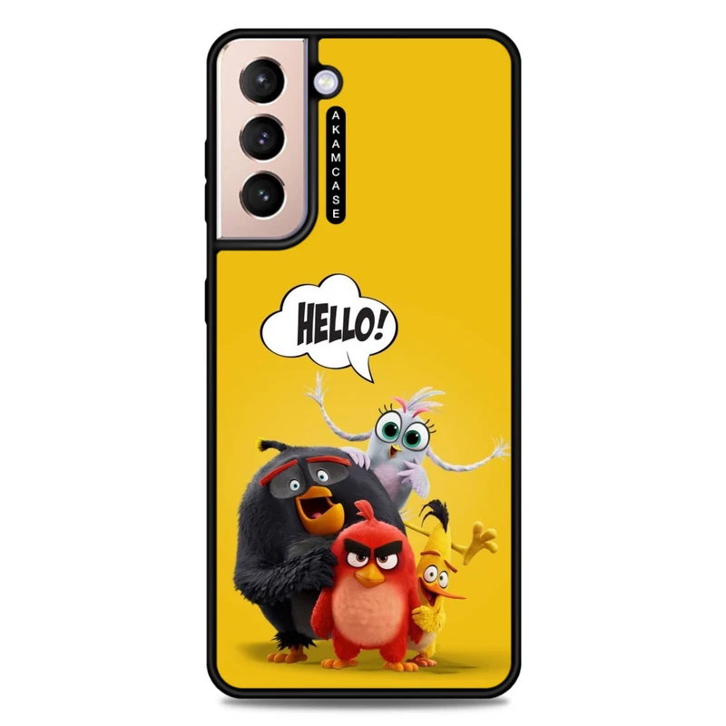 کاور آکام مدل AMC-WSGS21P-ANGRY BIRDS17 مناسب برای گوشی موبایل سامسونگ Galaxy S21 Plus