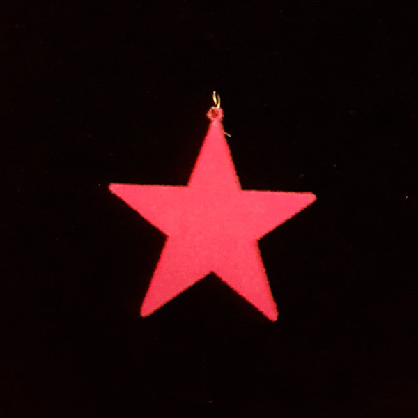 آویز گردنبند زنانه مدل ستاره کد 100