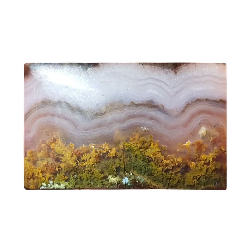 سنگ عقیق مدل شجر منظره