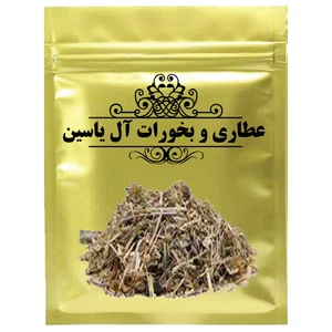 دمنوش مریم گلی - 1000 گرم