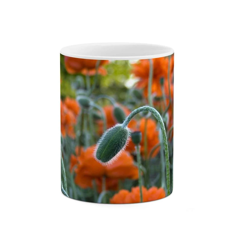 ماگ کاکتی مدل گل کد mgh12097