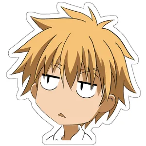 استیکر لپ تاپ مدل Usui judging
