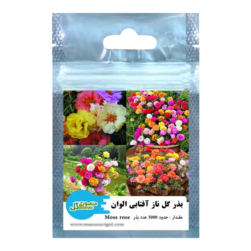 بذر گل ناز آفتابی الوان منصوری گل کد Mms3000 وزن 2 گرم