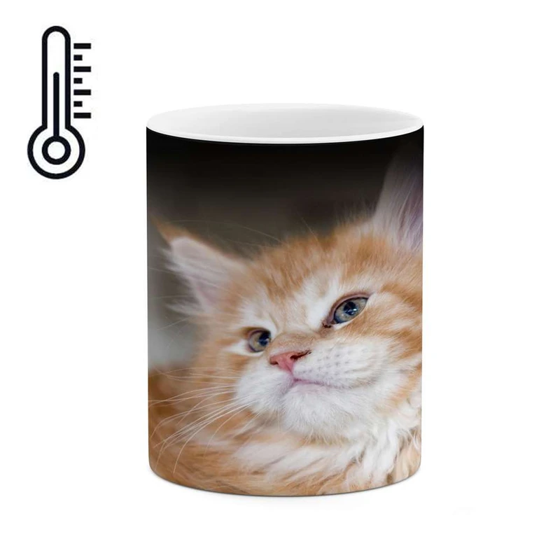 ماگ حرارتی کاکتی مدل گربه کد mgh14031