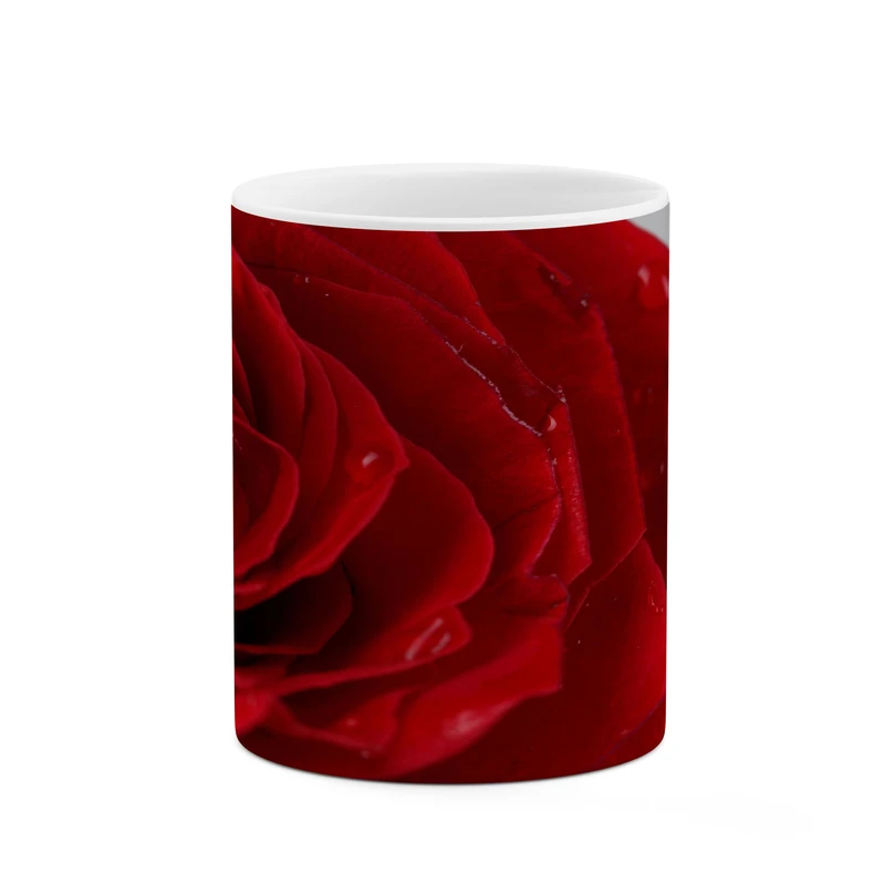 ماگ کاکتی مدل گل رز کد mgh18042