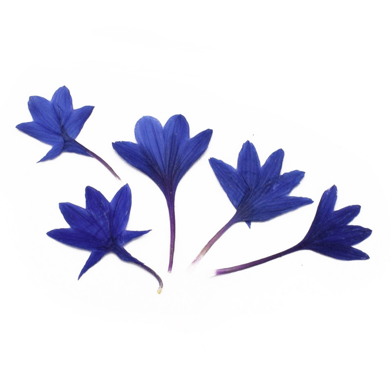 گل خشک مدل گندمی کد PR 5 مجموعه 5 عددی