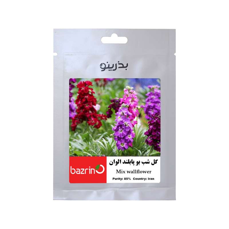 بذر گل شب بو پابلند الوان بذرینو کد B-045