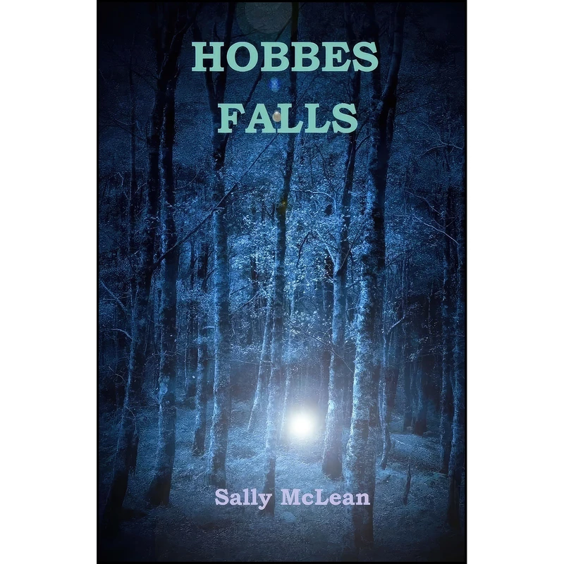 کتاب Hobbes Falls اثر Sally McLean انتشارات تازه ها
