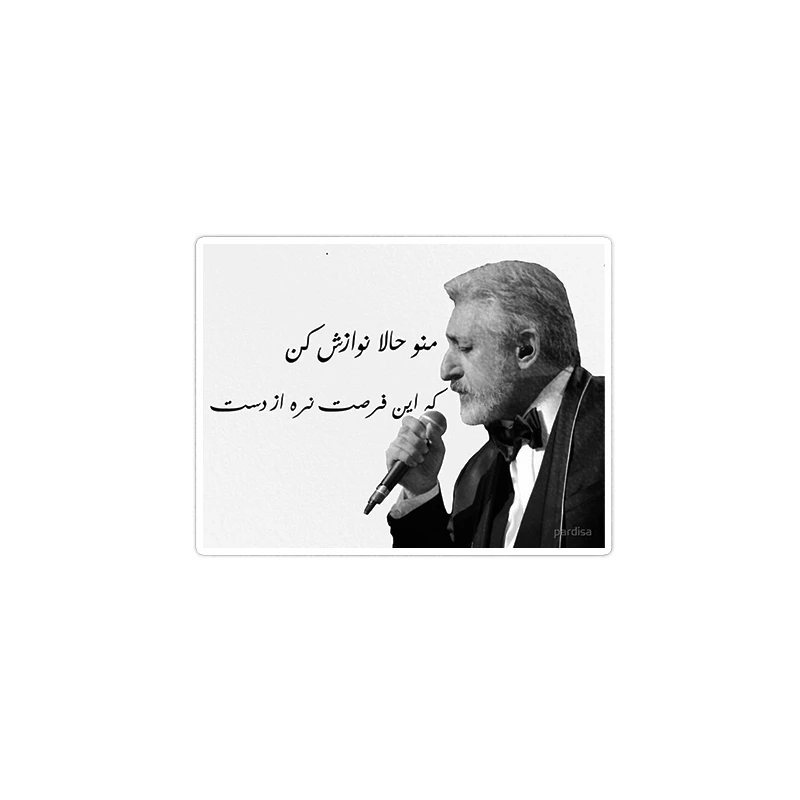     استیکر لپ تاپ ماسا دیزاین طرح موزیک مدل venus697