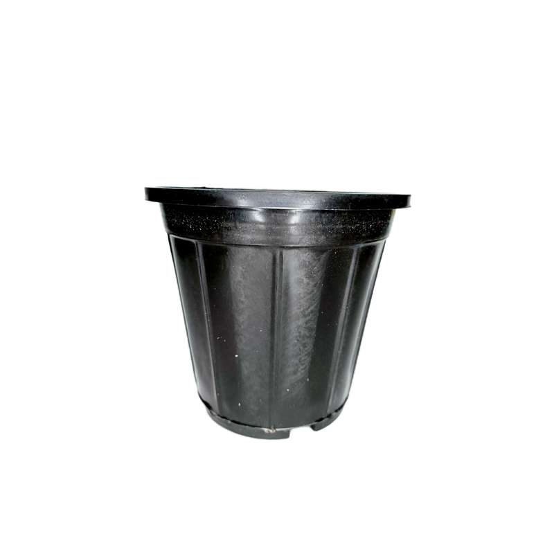 گلدان مدل A3 بسته 20 عددی