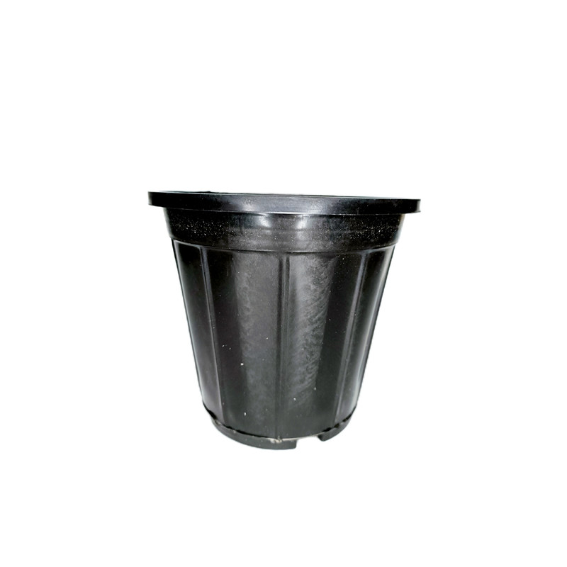 گلدان مدل A3 بسته 20 عددی