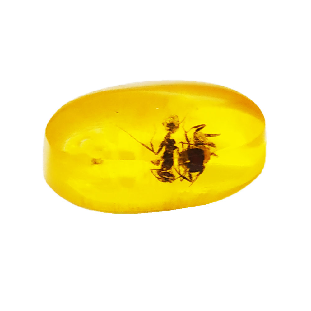  سنگ کهربا مورچه ای کد 40031