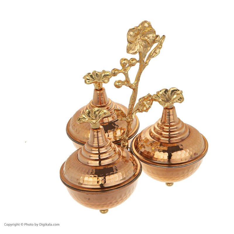 عکس شماره 4 : اردورخوری مسی کد 001