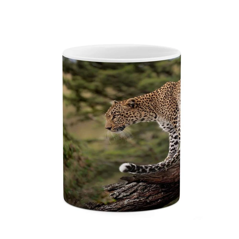 ماگ کاکتی مدل پلنگ کد mgh14801