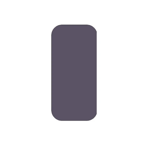 محافظ لنز دوربین کد SAM-18 مناسب برای گوشی موبایل سامسونگ Galaxy S9 Plus