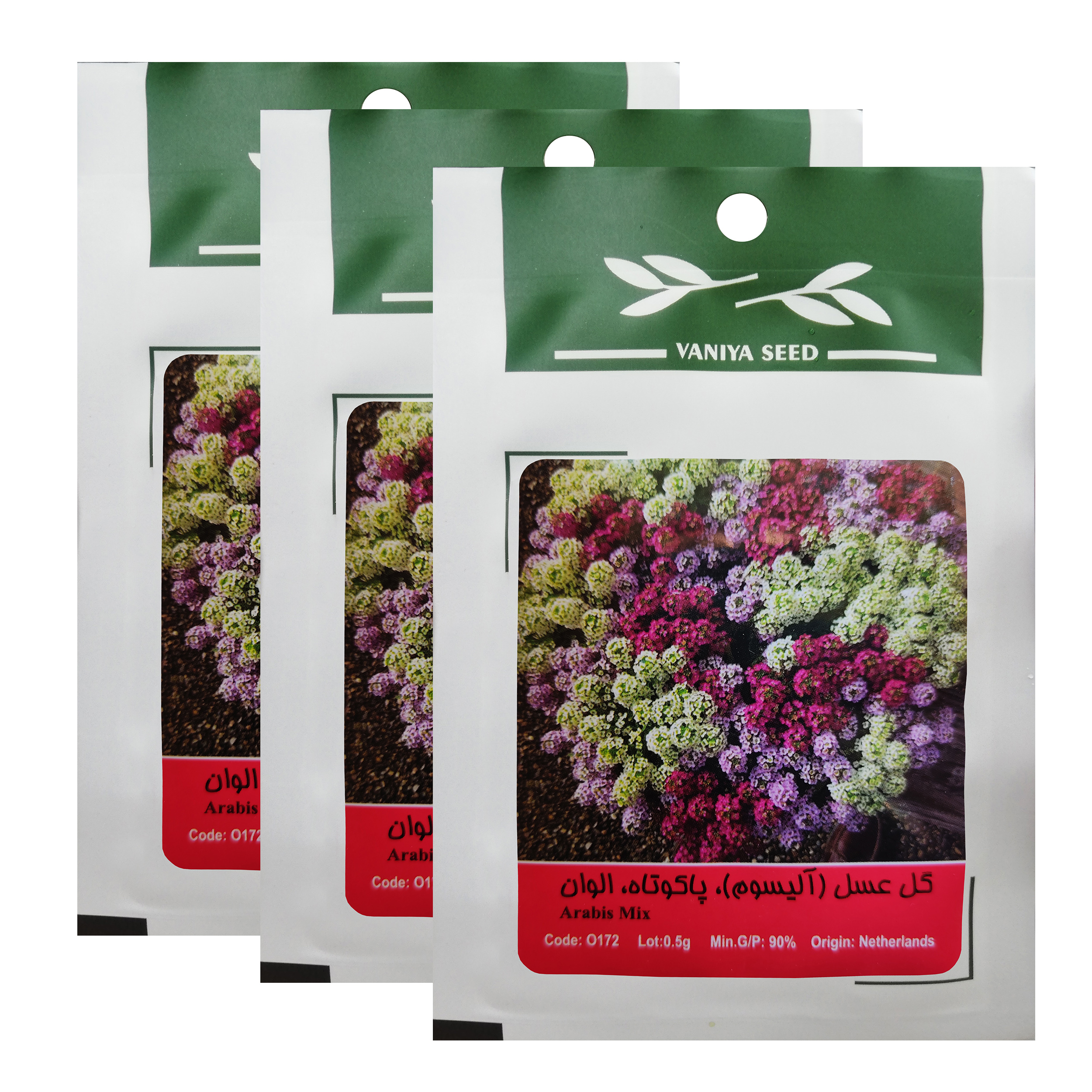 بذر گل آلیسوم پاکوتاه الوان وانیا سید کد O172 بسته 3 عددی