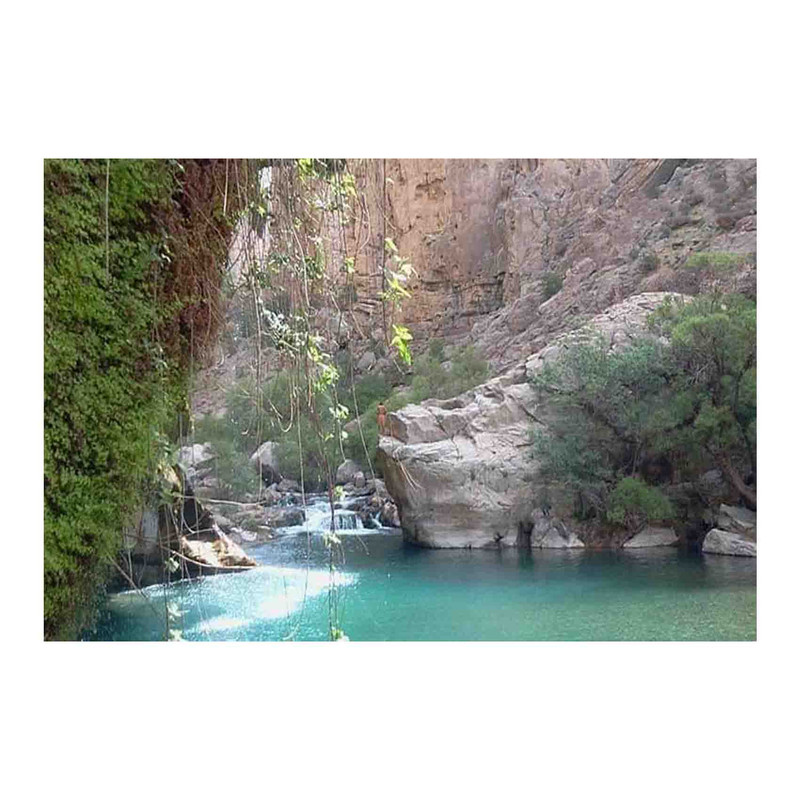 کارت پستال رادکس طرح طبیعت مدل s731