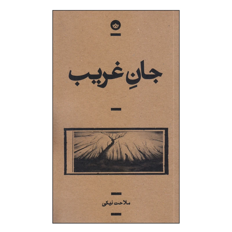 کتاب جان غریب اثر ملاحت نیکی انتشارات بان