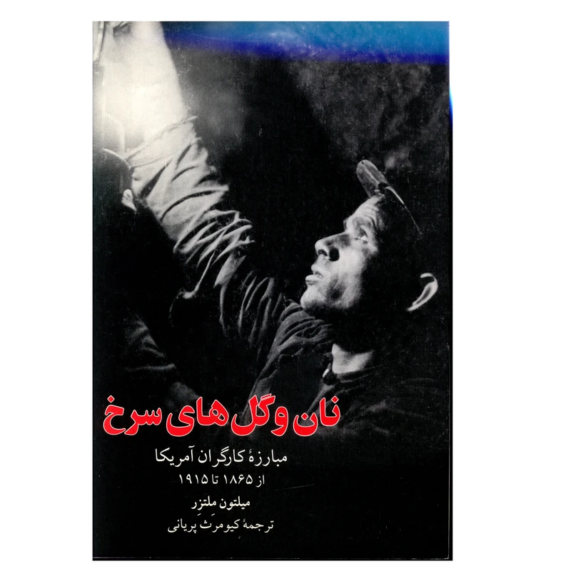 کتاب نان و گل‌هاي سرخ اثر ميلتون ملتزر انتشارات مازیار 
