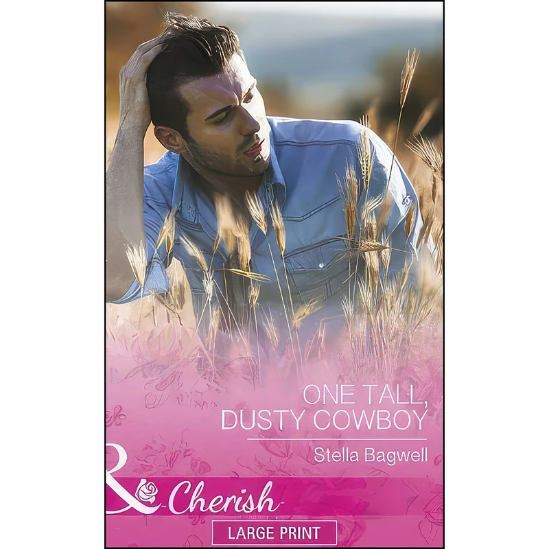 کتاب One Tall, Dusty Cowboy اثر Stella Bagwell انتشارات Mills and Boon