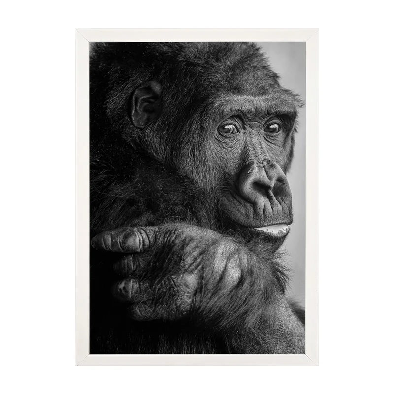 تابلو مدل دیواری طرح گوریل کد EA-1141