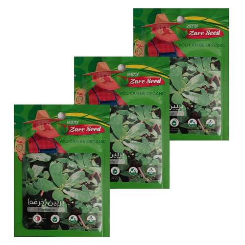 بذر پرپین خرفه زارع سید کد ZS-1020 بسته 3 عددی