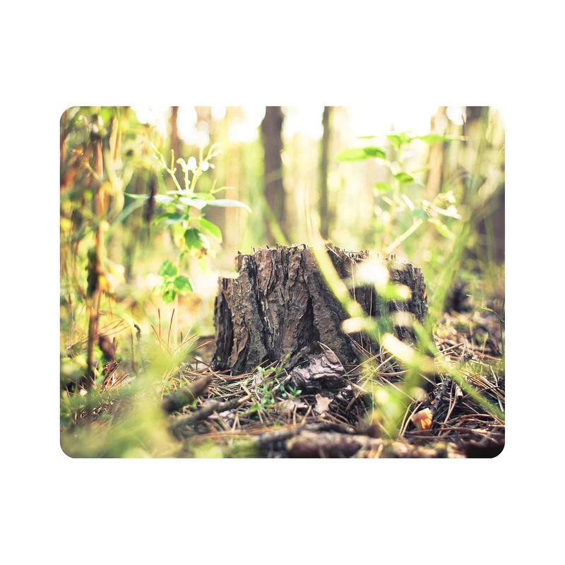 ماوس پد اطلس آبی طرح درخت و جنگل مدل T1893