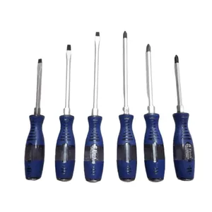 مجموعه 6 عددي پيچ گوشتي فاتيك مدل بلو