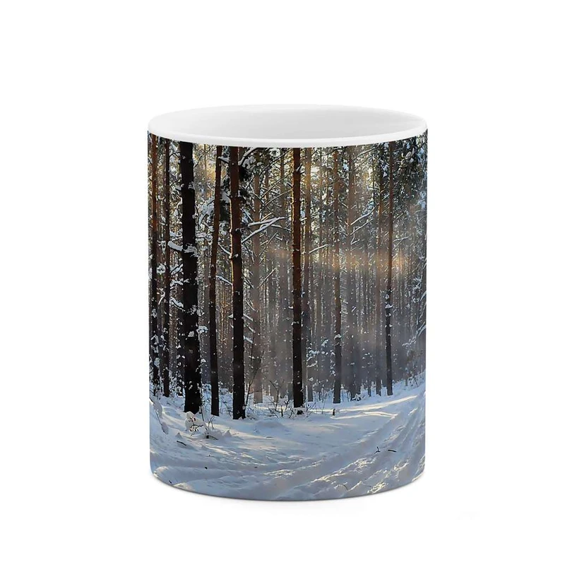 ماگ کاکتی مدل طبیعت برفی کد mgh10115