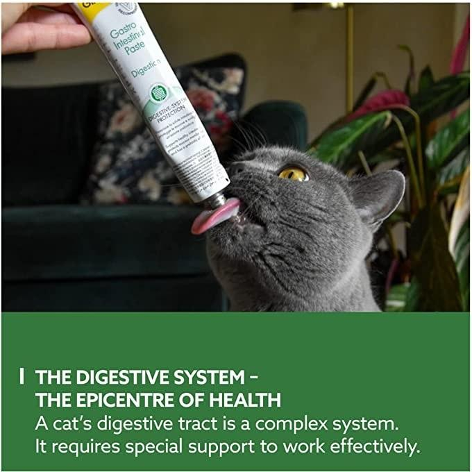 خمیر مکمل گربه جیم کت مدل سلامت دستگاه گوارش وزن 50 گرم