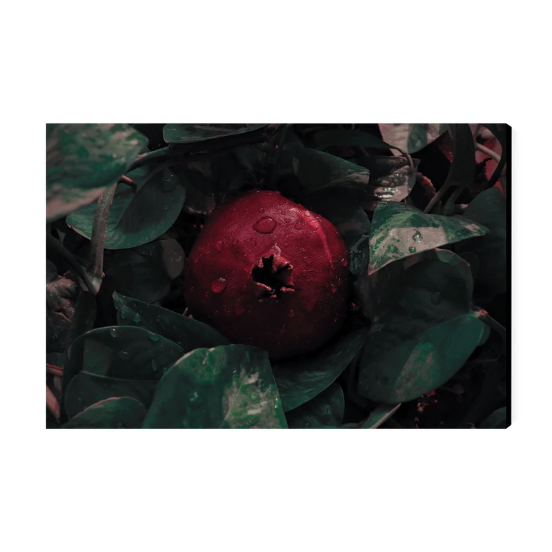 تابلو شاسی عرش مدل فانتزی انار شب یلدا کد As3943