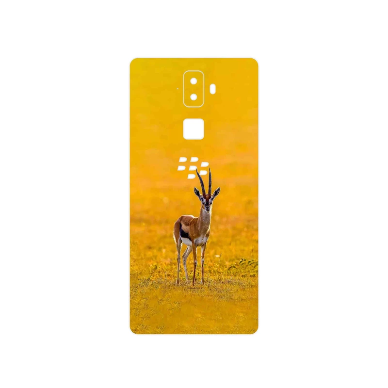 برچسب پوششی ماهوت مدل Gazelle مناسب برای گوشی موبایل بلک بری Evolve