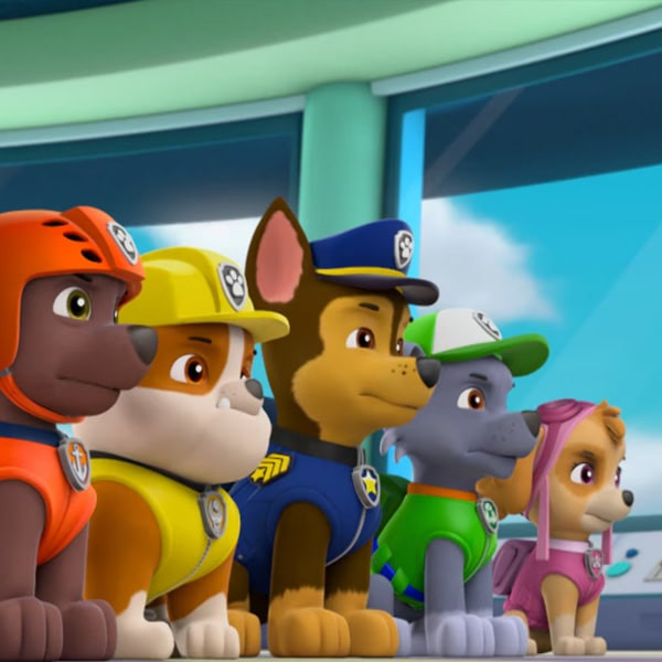 انیمیشن سگهای نگهبان 6 Paw Patrol اثر کیت چپمن نشر لیمو استور