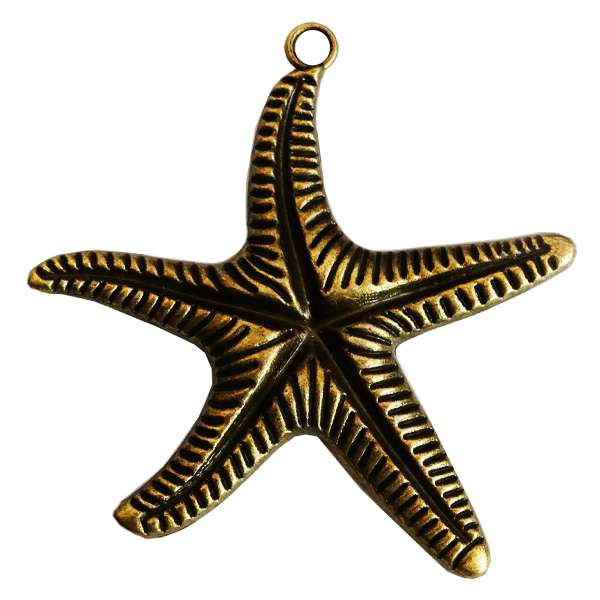 آویز گردنبند مدل ستاره دریایی AG 493