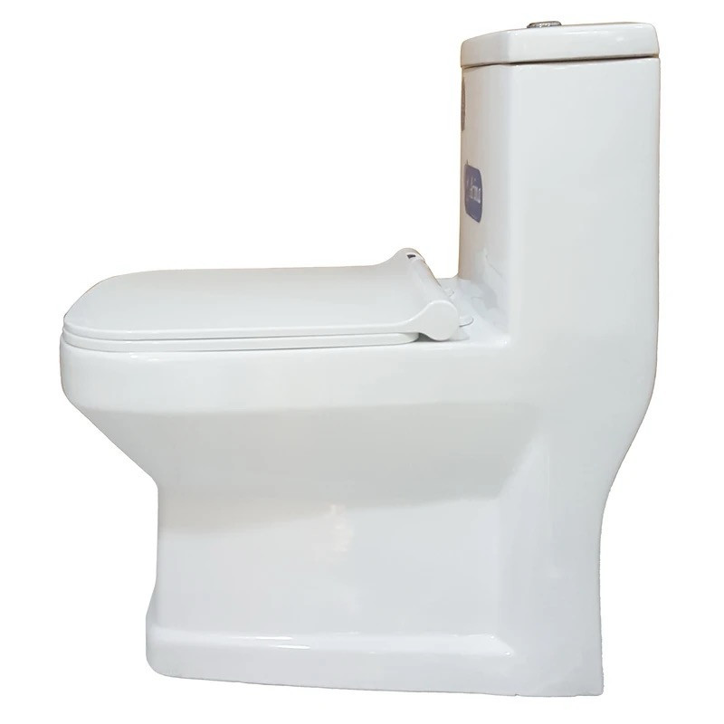 توالت فرنگی دو زمانه سینا چینی مدل آرینا