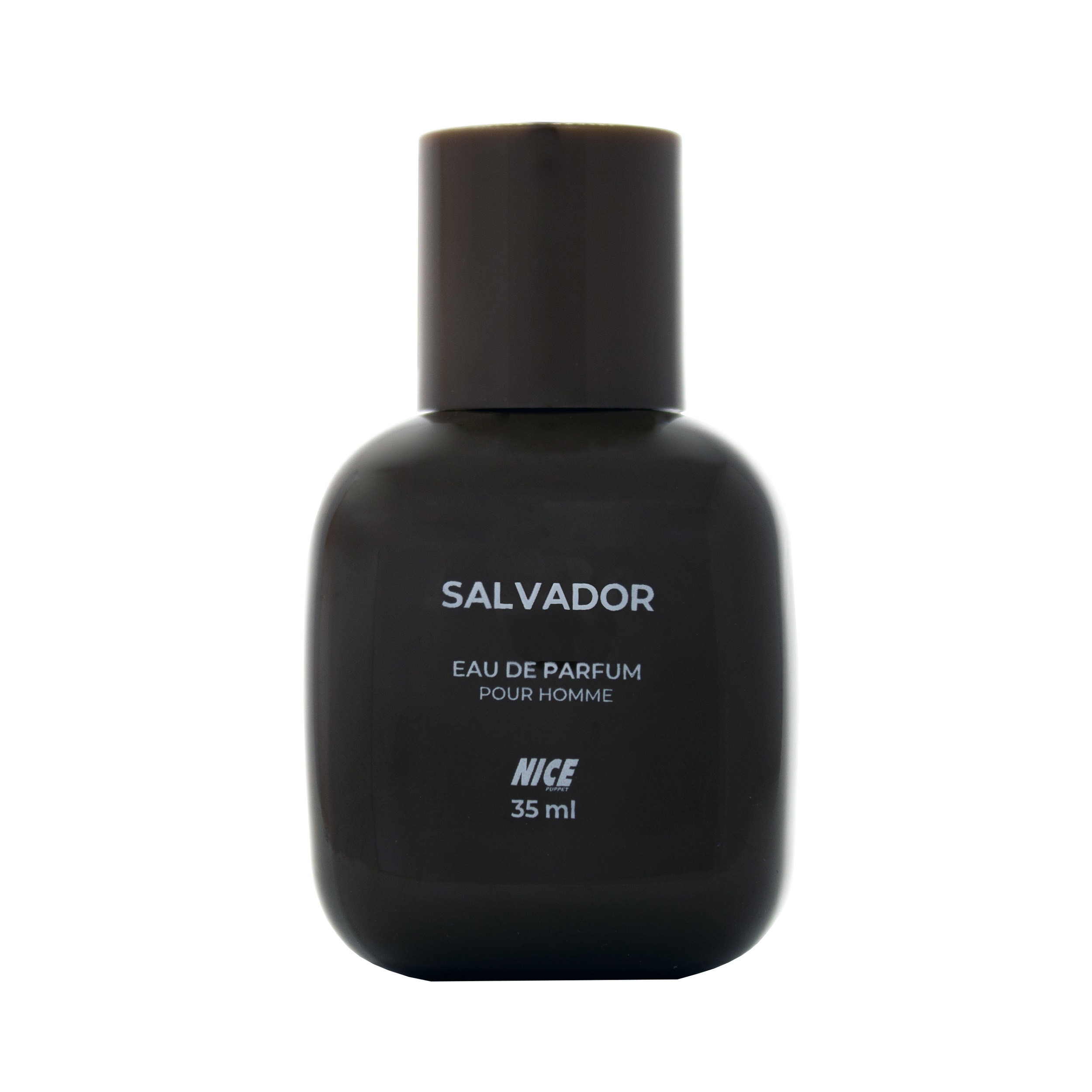 عطر جیبی مردانه نایس پاپت مدل Salvador حجم 35 میلی لیتر