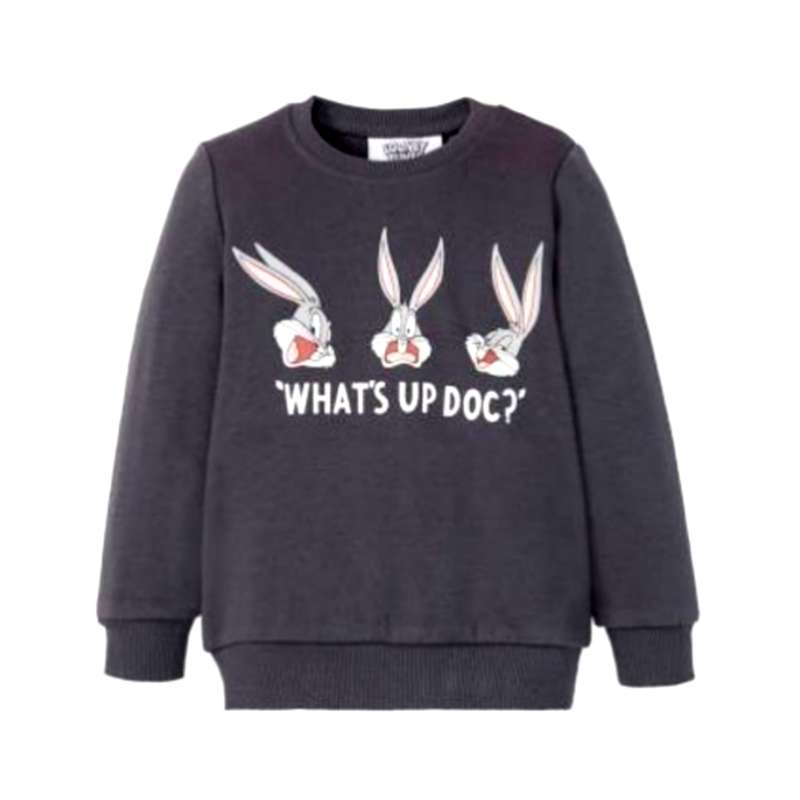 سویشرت پسرانه لونی تونز مدل باگزبانی