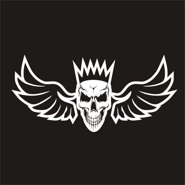 برچسب بدنه خودرو لیزارد مدل اسپورت طرح بال اسکلت کد LZD-814