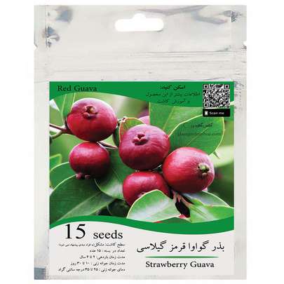 برگ گواوا را از کجا تهیه کنیم؟