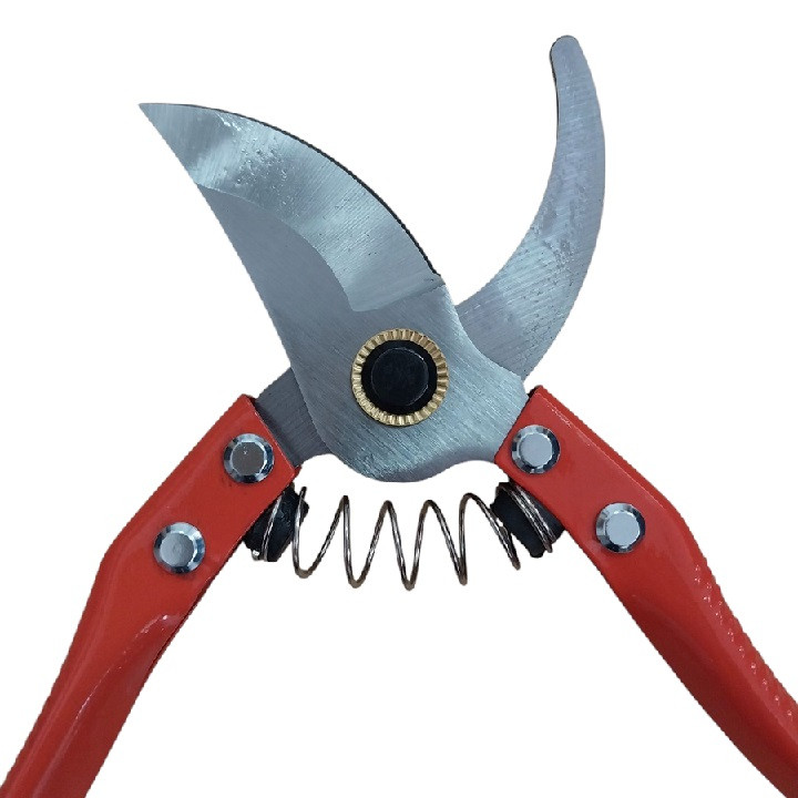 قیچی باغبانی مدل SK-5