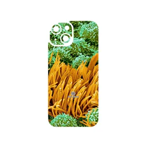 MAHOOT Atom Universe 6 Cover Sticker for Apple iPhone 15