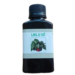 کود مایع پتوس مدل raw material حجم 120 میلی لیتر